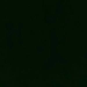 Meet your Posher, Young